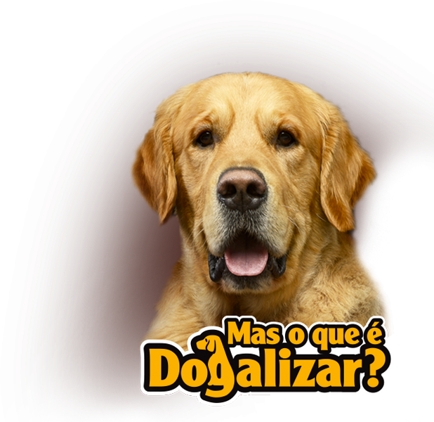 O que é Dogalizar - SpecialDog